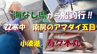 海なし県から船釣行‼ ’22寒中 南房のアマダイ五目 寿々木丸