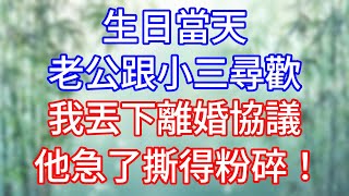 生日當天，老公跟小三尋歡，我丟下離婚協議，他急了撕得粉碎！