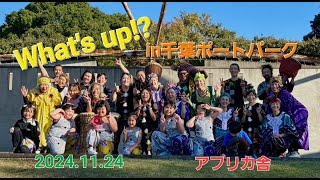 11/24 アフリカンダンス　千葉ポートパークイベント