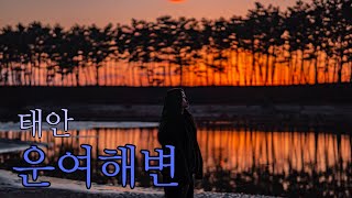 🏕️🥘태안 운여해변 캠핑장 | 먹으러가는 캠핑 | 충남태안 | 캠핑장 |오캠 | 태안여행 | 노지 | 바다뷰 | 백패킹명소