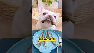 让猫狗都咔咔炫的多春鱼冻干～营养酥脆还磨牙，嘎嘎香！ #宠物零食#萌宠好物 #猫零食 #狗零食 #萌宠#貓#狗#寵物#可愛#日常#shorts