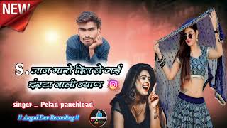 song ,   S  jaan  मारो दिलडो ले गई इंस्टा वाली ब्याण जी    Singer Pelad panchload devli  7340479184