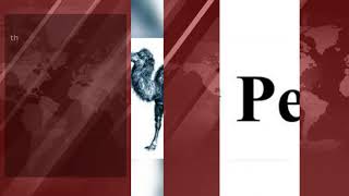 Python vs Perl video