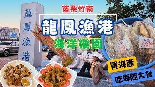 【苗栗美食旅遊】苗栗竹南的海洋樂園『龍鳳漁港』採購新鮮海鮮、逛市集、玩沙、賞大風車海景，還有不踩雷的來來龍鳳城，春節一日遊就醬玩 [ENG SUB]