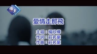 楊欣樺-愛情走那飛﹝卡拉版﹞【KTV導唱字幕】