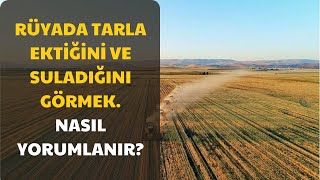 Rüyada Tarla Ektiğini Ve Suladığını Görmek Nasıl Yorumlanır?