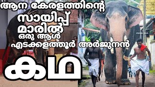 ആനപ്രേമികളുടെ സ്വന്തം അർജ്ജുനൻ!!! | എടക്കളത്തൂർ അർജ്ജുനൻ | EDAKKALATHUR ARJUNAN ELEPHANT