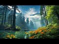 Relaxing music that heals stress, anxiety and depressive conditions, heals, gentle music #57