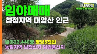 [0045] 임야매매 청정지역 대암산 용늪 인근 74182제곱미터 약22440평 평당6천원 1억3천4백만원 박부동산TV