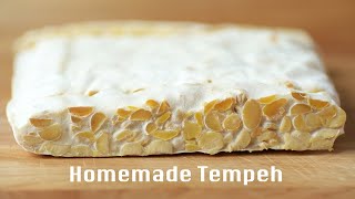 How To Make Healthy And Delicious Homemade Tempeh