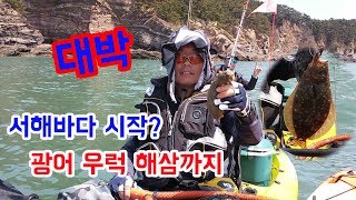 카약피싱 의항해수욕장, 다운샷으로 광어 우럭 해삼까지 / HNBKF#5  Korea Kayak Fishing