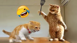 Funny Animal s 2023 😅 - Funniest Dogs and Cats s 😁 Part 22