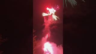 Pháo hoa 2024 | pháo hoa tết 2023 #phaohoa #fireworks #tiktok #shorts