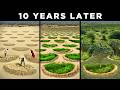 Inside Africa's Food Forest Mega-Project