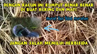 Luarbiasa ganas racun rumput yang satu ini ||  Semua jenis rumput mampu dibuat kering dan hancur