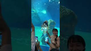 Real life mermaid in Farglory Ocean Park, Hualien, Taiwan Source:Reddit