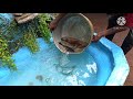 how to make beautiful water fountain ഗപ്പി കുളത്തിൽ അടിപൊളി വാട്ടർ ഫൗണ്ടൻ