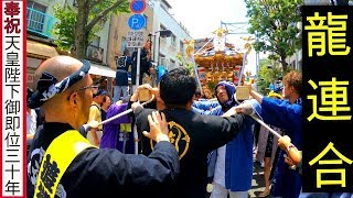 30年  横浜開港祭 神輿コラボ ◆ 龍連合 ◆ 神輿おもてなし渡御　迫力満点。