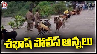 Police  Rescue  Goats , Facing  Problem While Crossing Calvert | Rajanna Sircilla | V6 News