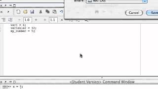 1.2 New scripts, Input & Basic Output in MATLAB