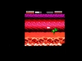 Battletoads level 3: Turbo Tunnel