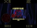 火龍果的益處 超級食物 shorts