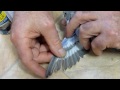 budgie health care with avian vet dr ross perry on how to treat feather mites 120611