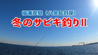 【釣り】福浦岸壁 :八景島対岸 サビキ釣り