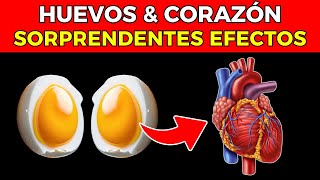 HUEVOS y CORAZÓN: EFECTOS SORPRENDENTES de comer HUEVOS CADA DÍA