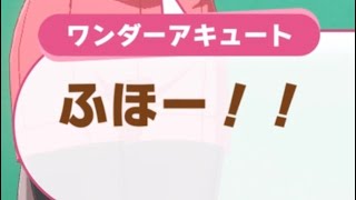 ワンダーアキュートへ闘魂注入！！