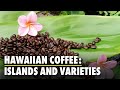 Hawaiian Coffee: Islands and Varieties