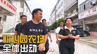 初心园农场全体出动，迎接新人到来，满满一车物资运回家【海派小娄娄】