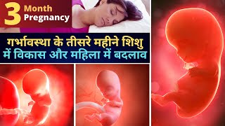 गर्भ का तीसरा महीना (Third Month of Pregnancy) ज़रूरी जानकारियां