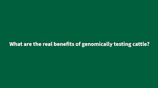 What are the Real Benefits of Genomically Testing Cattle?