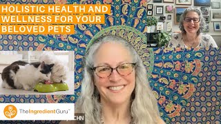 Why Are Your Pets Getting Sicker & What You Can Do About It | Wilma Shaw Holistic Pet Wellness Coach