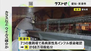 カラス等が媒介した可能性も…常滑市の7つの養鶏場で確認相次いだ鳥インフルエンザ 国が現地調査行い対策会議