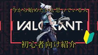 【valorant】初心者・今から始める人向け解説動画‼︎【ヴァロラント】