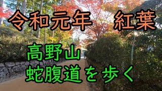 2019 紅葉高野山　蛇腹道を歩く