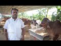 22 ஆண்டுகளாக செயல்படும் வடஇந்திய நாட்டுமாட்டு பண்ணை desi cow farm in tamilnadu