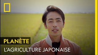 La vie paisible et ensoleillée d'un agriculteur japonais