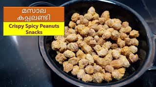 Air Fryer Masala Peanuts | മസാല കപ്പലണ്ടി | Crispy Spicy Peanuts Snacks | in Malayalam | Recipe: 322