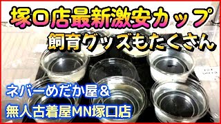 【塚口店最新激安カップ】激安カップの新商品が登場しました☆そして飼育グッズもたくさん増えました☆ネバーめだか屋(神戸市北区道場)＆無人古着屋MN塚口店(メダカ販売所)