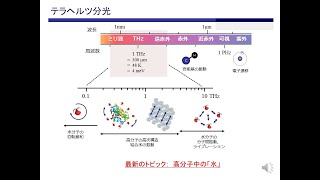 テラヘルツ分光で見る高分子と水のダイナミクス