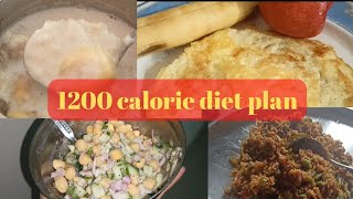 1200 calorie diet plan| diabetic, thyroid, pcod diet plan| healthy diet plan for weight loss