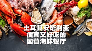 土耳其🇹🇷安塔利亚便宜又好吃的国营海鲜餐厅 The government owned seafood restaurant in Antalya