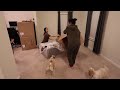 extreme room transformation declutter organize with me huge speed cleaning motivation 2025