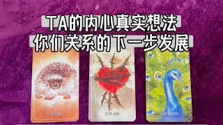 塔羅占卜 | 扒开ta的内心深处真实想法\u0026剧透你们关系下一步如何发展