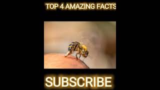 TOP 4 AMAZING FACTS YOU DON'T KNOW 😱😱||#shorts #facts #generalknowledge
