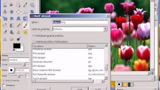ako exportovat png obrazok do formatu tiff v programe gimp