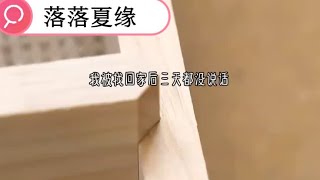 落落夏缘---番茄畅听👀，勉废